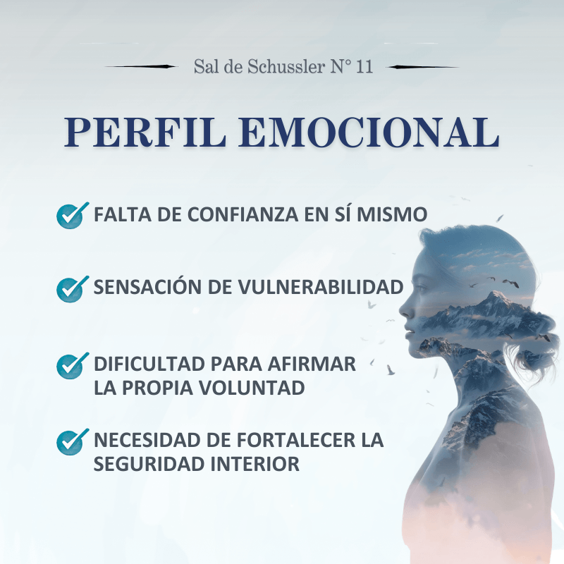 Sal de Schüssler Nº11 Silicea – Piel, cabello, uñas y regeneración del tejido conectivo