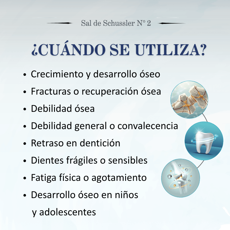 Sal de Schüssler Nº2 Calcarea Phosphorica – Formación de huesos, dientes y recuperación física