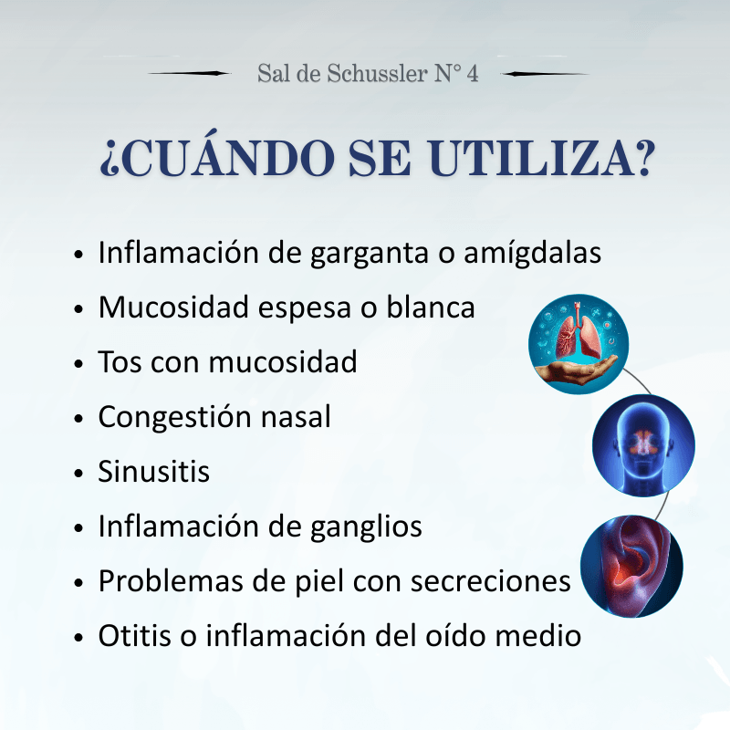 Sal de Schüssler Nº4 Kalium Chloratum – Mucosidad, inflamación y 2° fase respiratoria