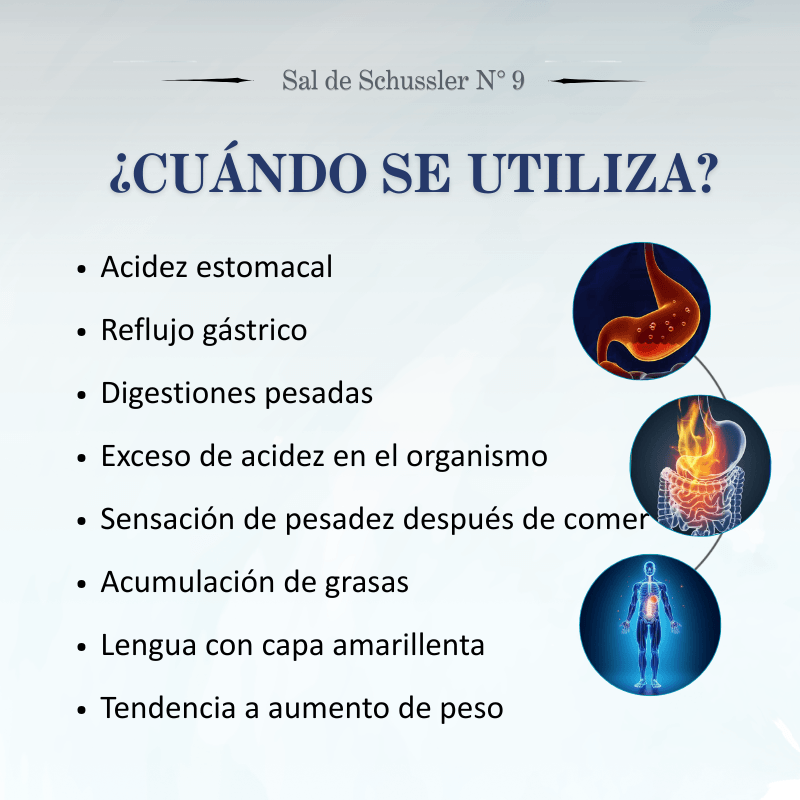 Sal de Schüssler Nº9 Natrium Phosphoricum – Acidez, digestión y metabolismo de grasas