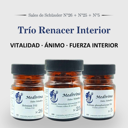 Trío Renacer Interior