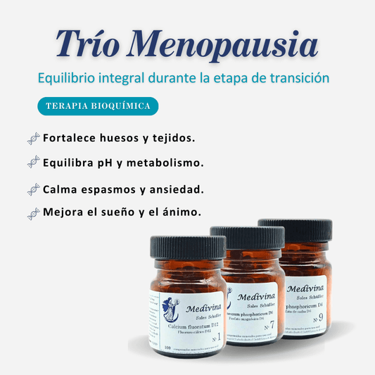 Trío: Equilibrio Femenino