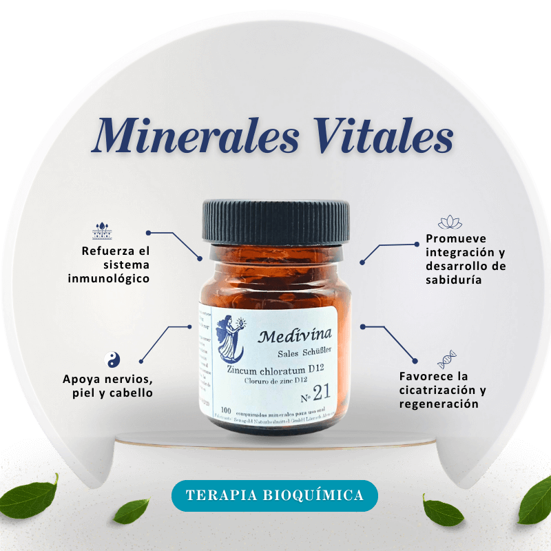 Sal Schussler Nº21 Zincum Chloratum - El Todoterreno