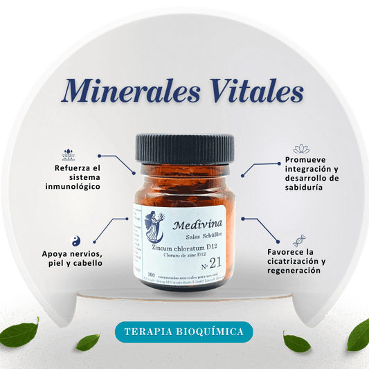 Sal Schussler Nº21 Zincum Chloratum - El Todoterreno