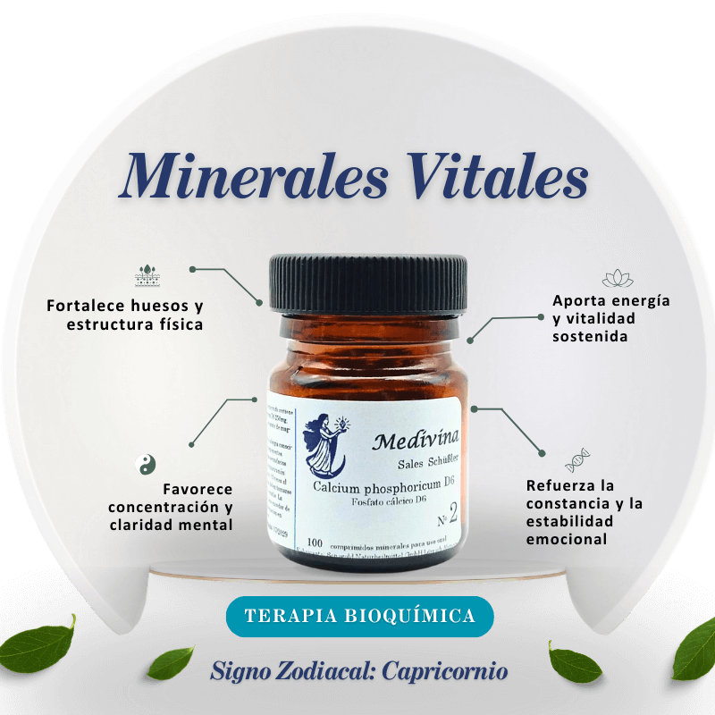Sal Schussler Nº2 Calcium Phosphoricum - Fortaleza y Energía desde la Base